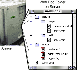 server/file structure