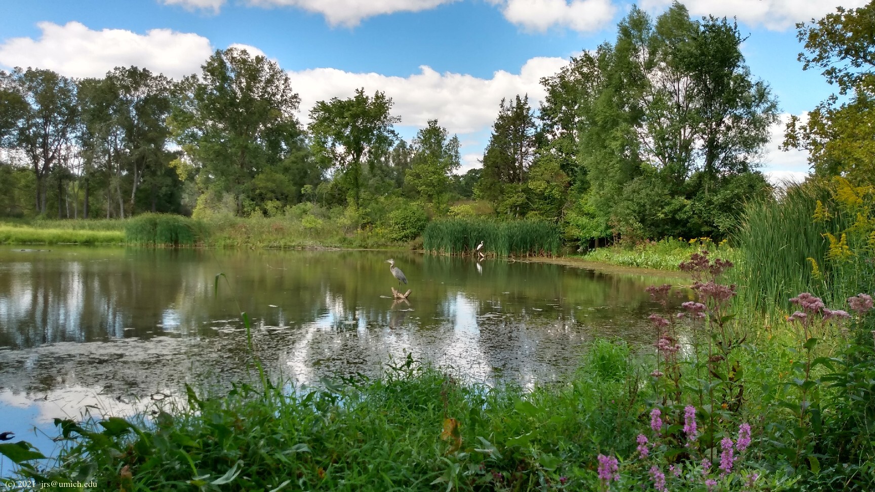 Matthaei Botanical Gardens