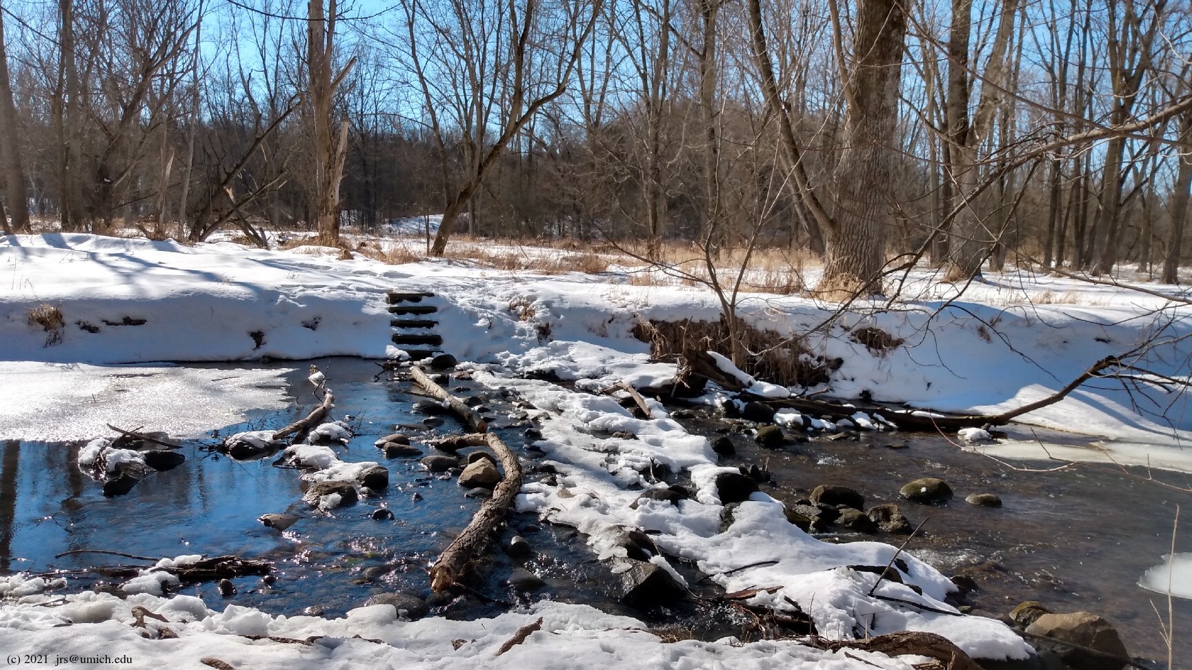 Sloan Preserve Trails: 38 Reviews, Map - Michigan