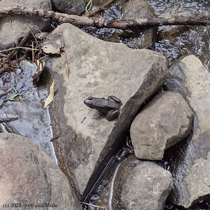 Sloan Preserve Trails: 38 Reviews, Map - Michigan