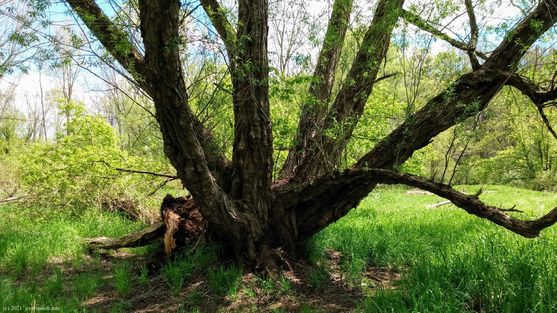 Sloan Preserve Trails: 38 Reviews, Map - Michigan