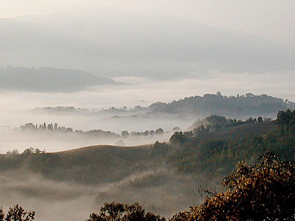 DSC00040