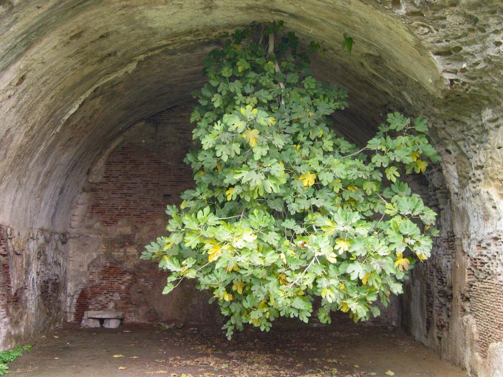 IMG 3568.JPG
