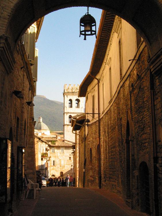 IMG 4993.JPG