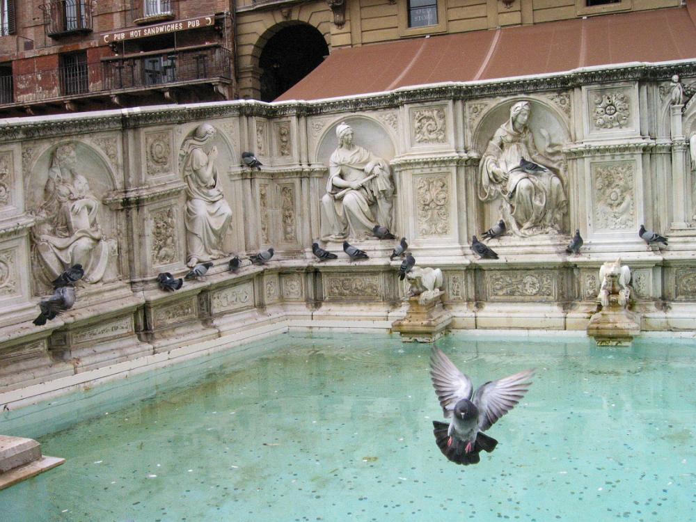 IMG 5037.JPG