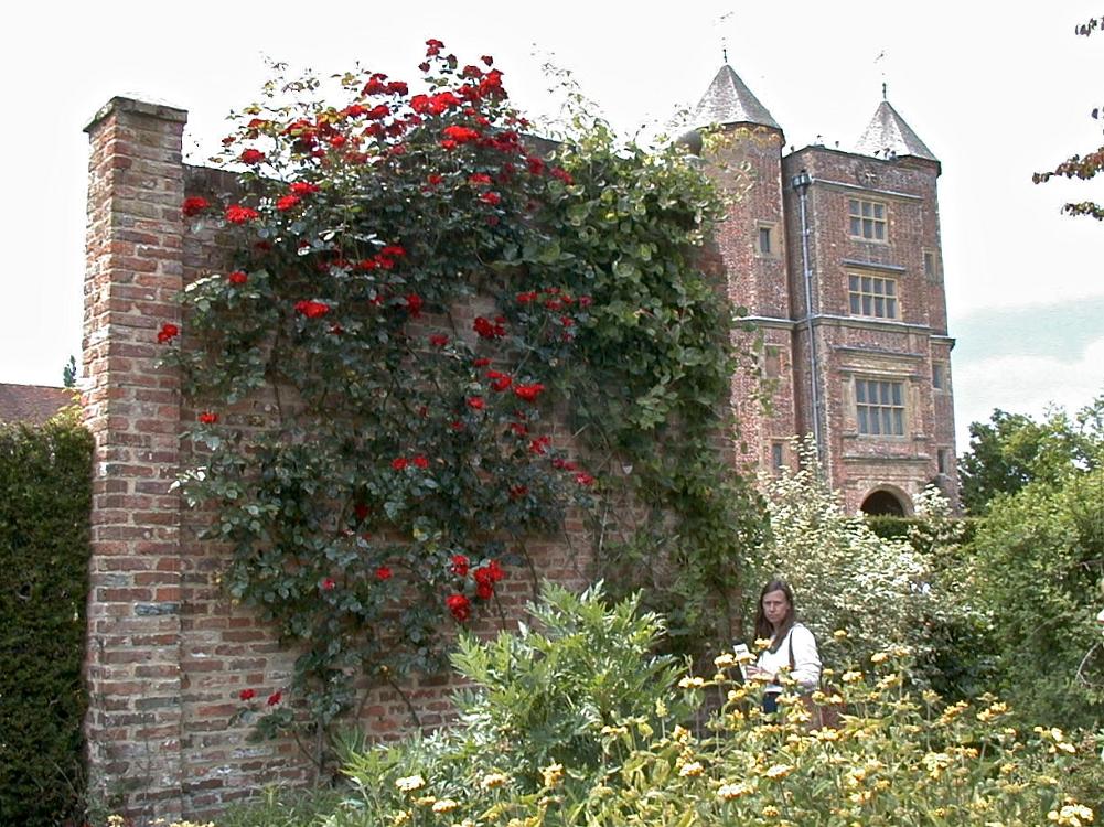 DSC00002
