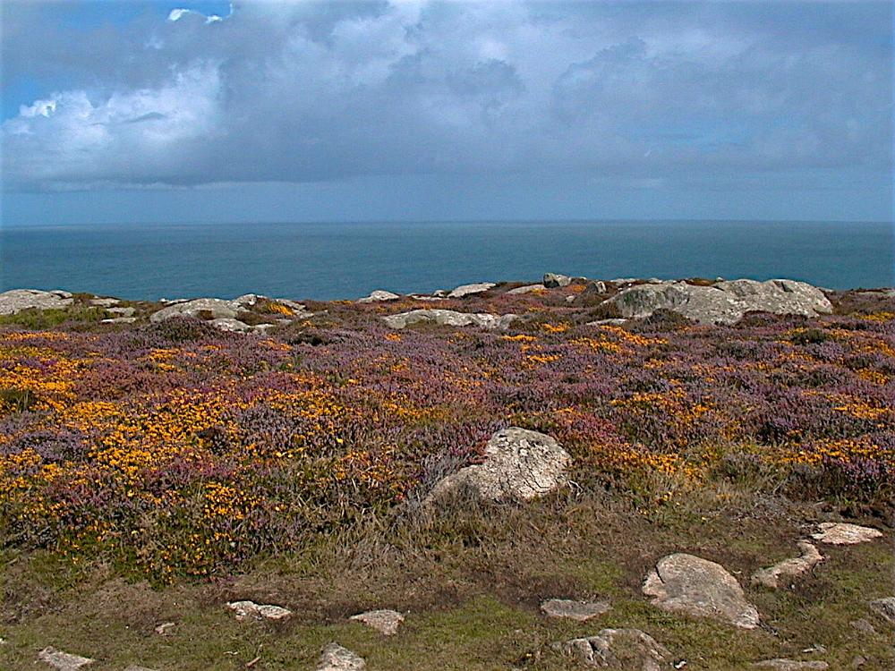 DSC00018