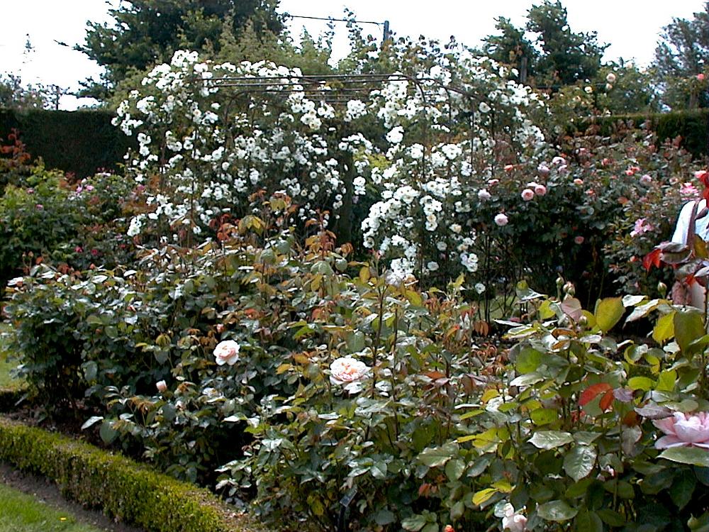 DSC00058