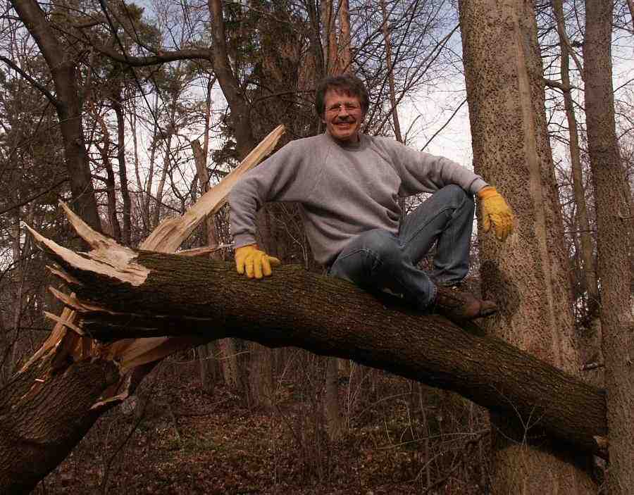 griess atop broken tree, in yellow gloves